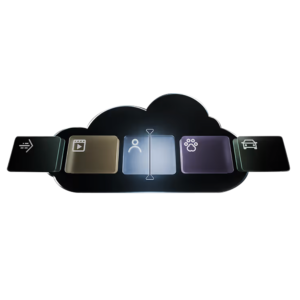 AJAXCCTV AJ-STORAGE-STANDARD-30DAY - Suscripción mensual para Ajax Cloud Storage